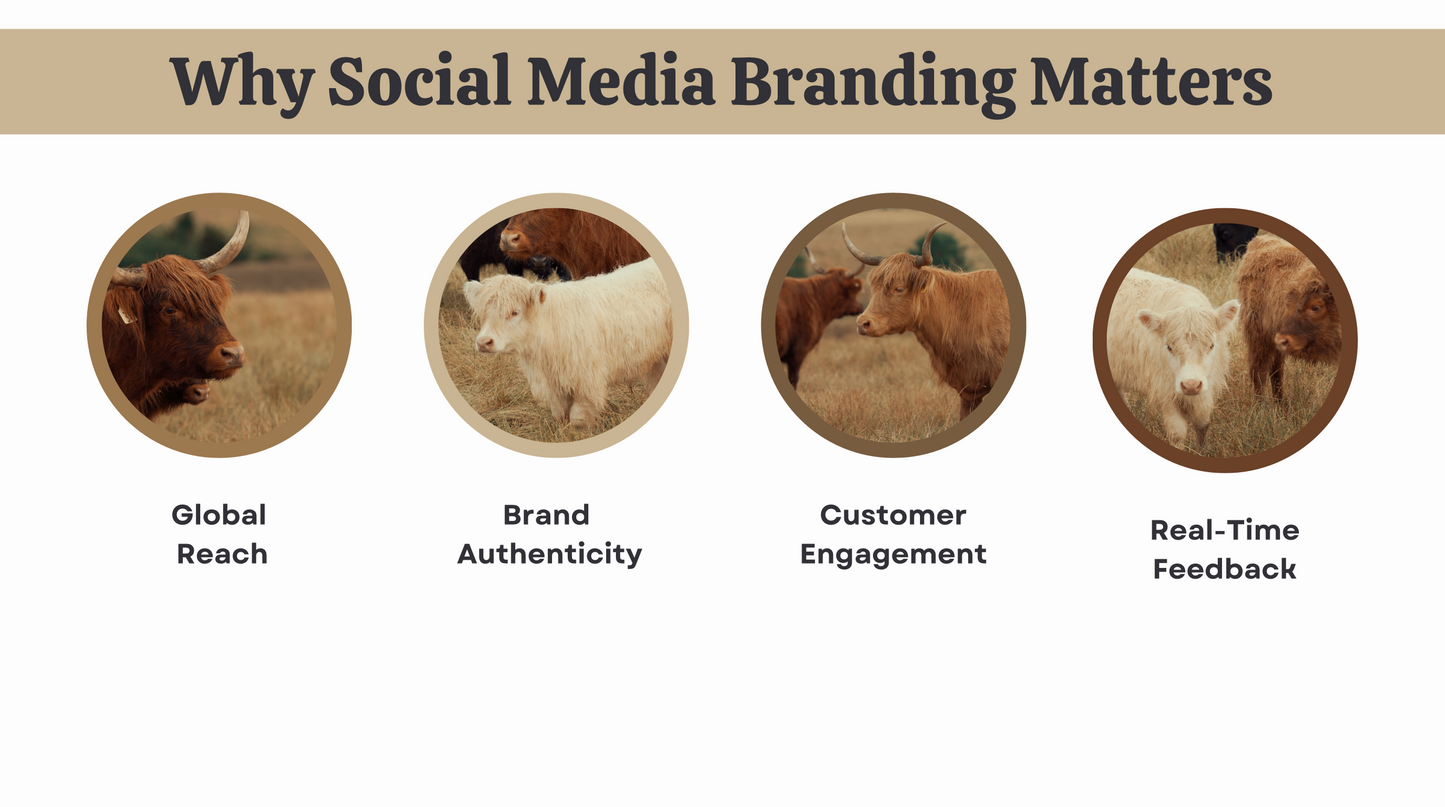 Branding on Social Media ebook instant digital download