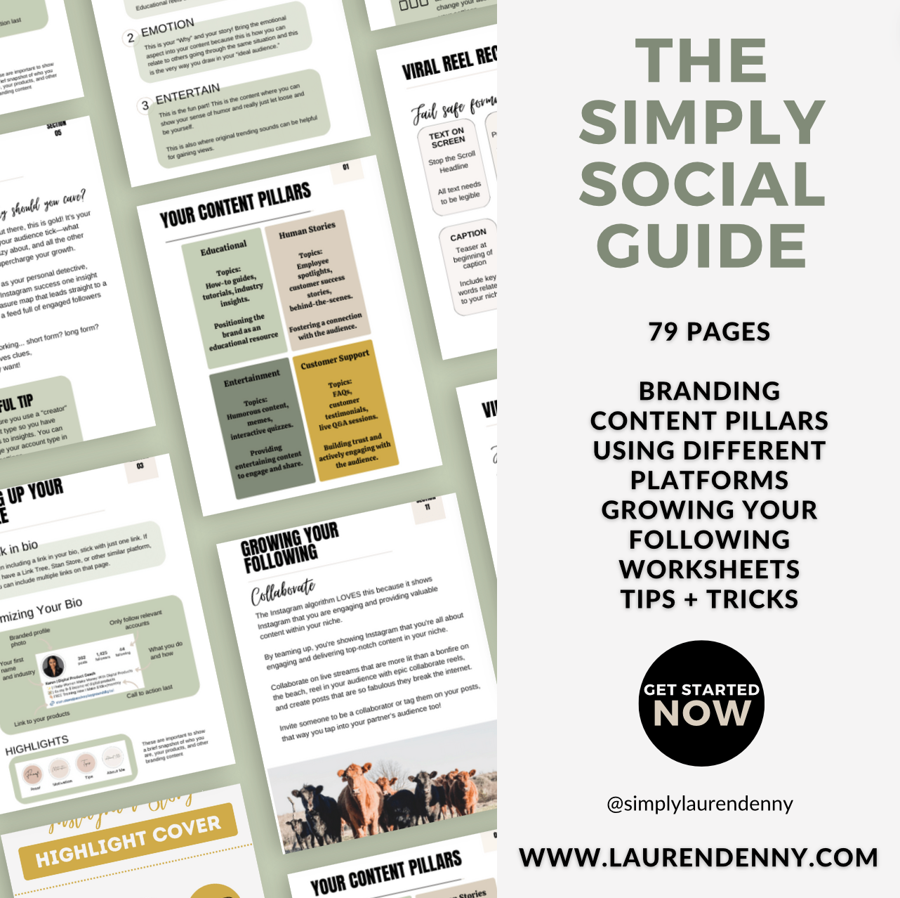 Simply Seen: Social Media Growth Guide ebook instant digital download
