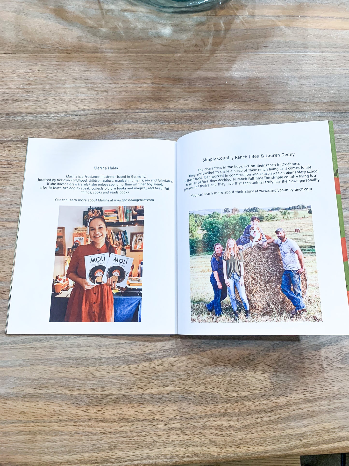 Winston and the Missing Apples Paperback Book