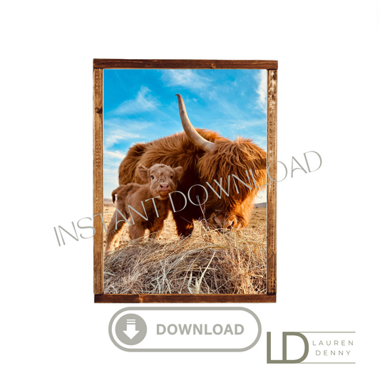 red ruby cow and baby  Instant Digital Download; Highland Cow; Fluffy Cow Cattle Photography
